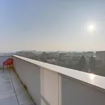 - Aparthotel